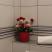 Wohnungen Balabusic, Wohnung Nr. 2, Privatunterkunft im Ort Budva, Montenegro - 166729882